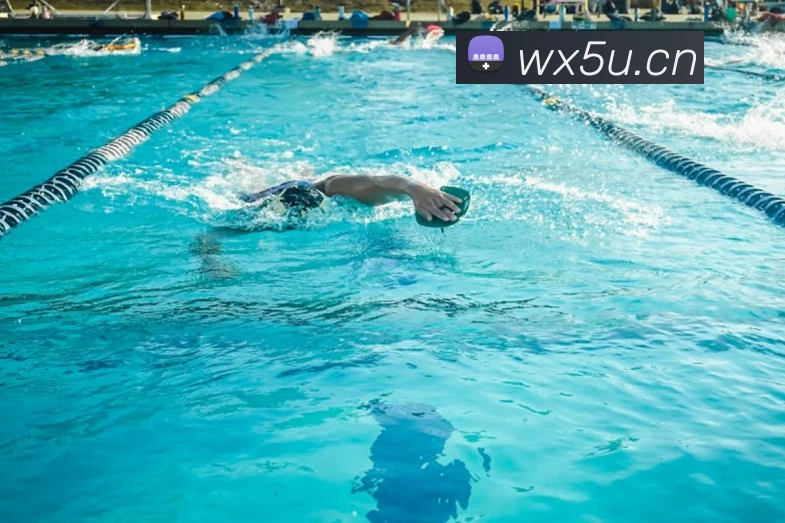 米兰网官网登录入口平台生态图